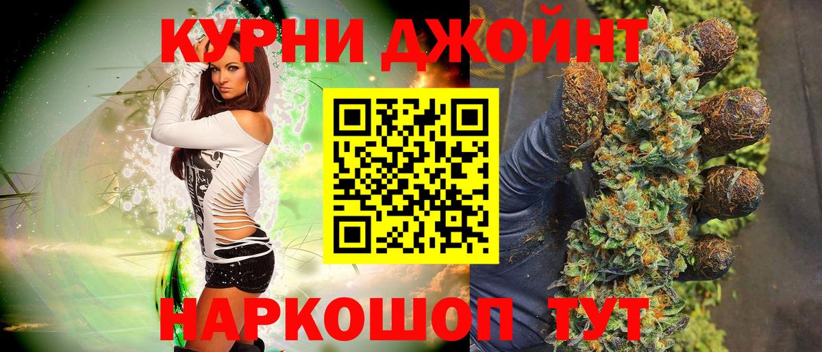 Конопля гибрид Камышлов